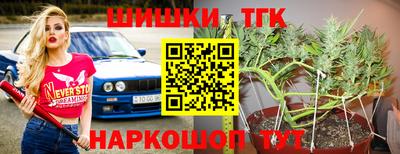 spice Кандалакша