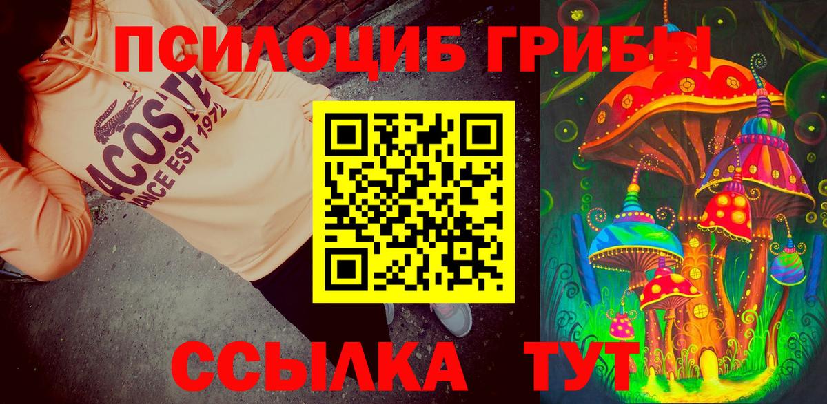 Елец  Псилоцибиновые грибы Psilocybe  Вход с VPN 