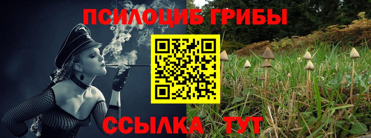 Галлюциногенные грибы мицелий Елец